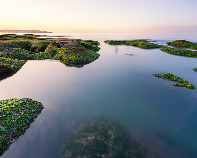 Advancing in symbiosis with nature