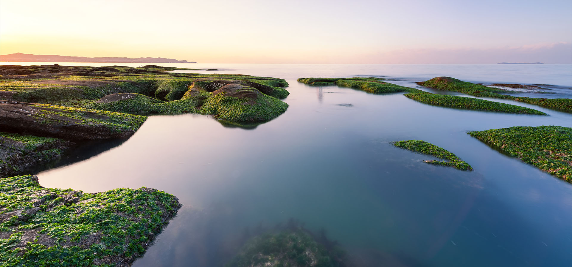 Advancing in symbiosis with nature